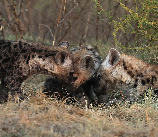 Liuwa Plain NP