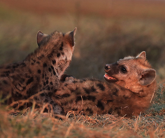 Liuwa Plain NP