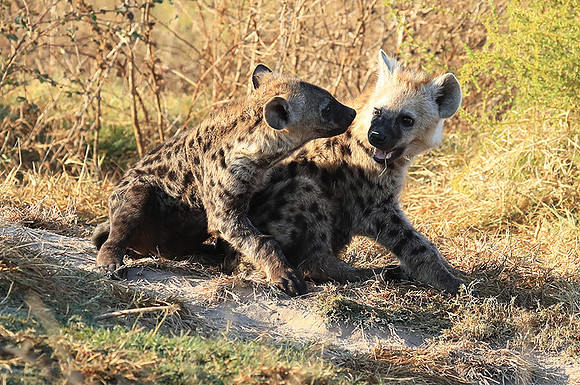 Liuwa Plain NP