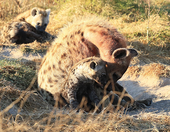 Liuwa Plain NP