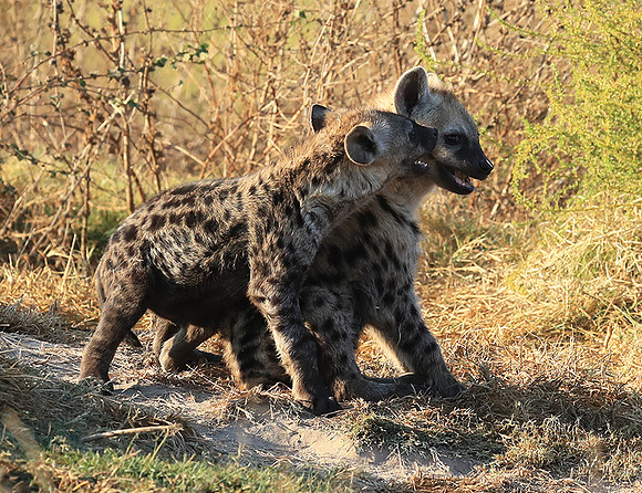 Liuwa Plain NP