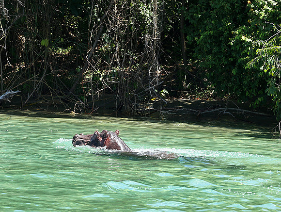 Mahale National Park