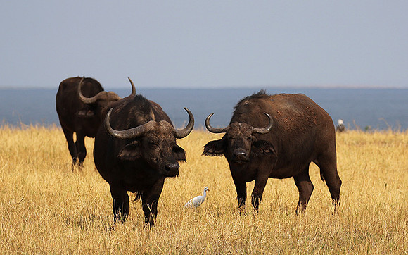 Matusadona National Park