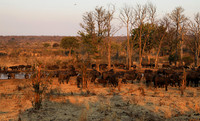 Matetsi private game reserve