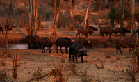 Matetsi private game reserve