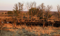 Matetsi private game reserve