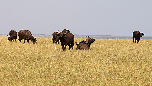 Matusadona National Park