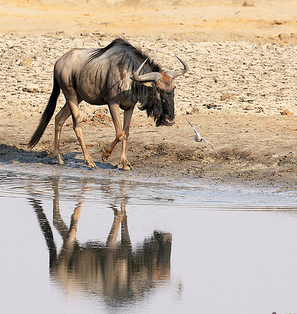 Hwange National Park