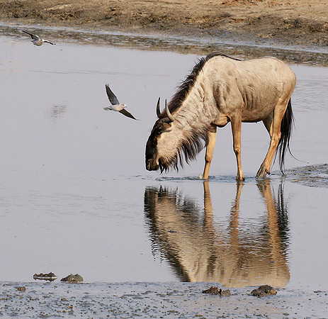 Hwange National Park