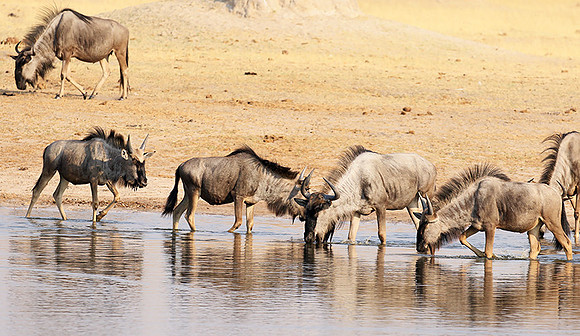 Hwange National Park