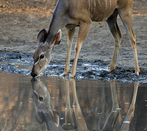 Mana Pools