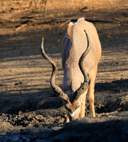 Mana Pools