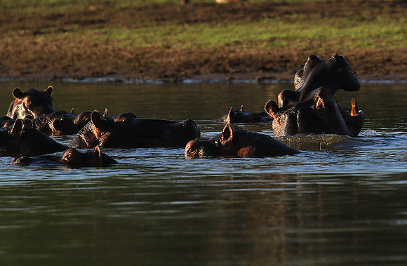 Malilangwe wildlife reserve