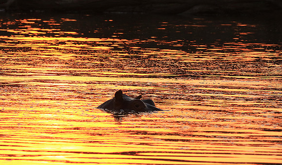 Malilangwe wildlife reserve