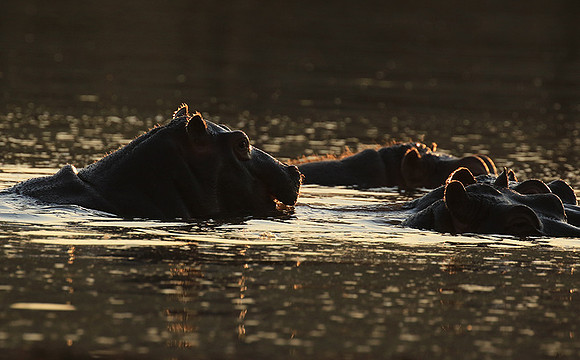 Malilangwe wildlife reserve