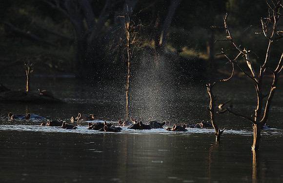 Malilangwe wildlife reserve