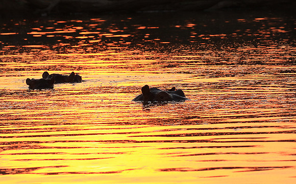 Malilangwe wildlife reserve