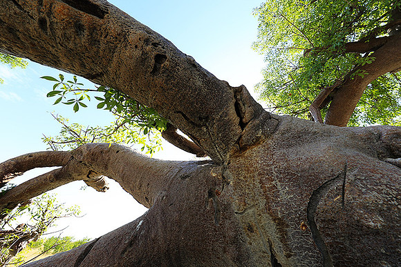 Botswana