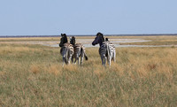 Nxai Pan