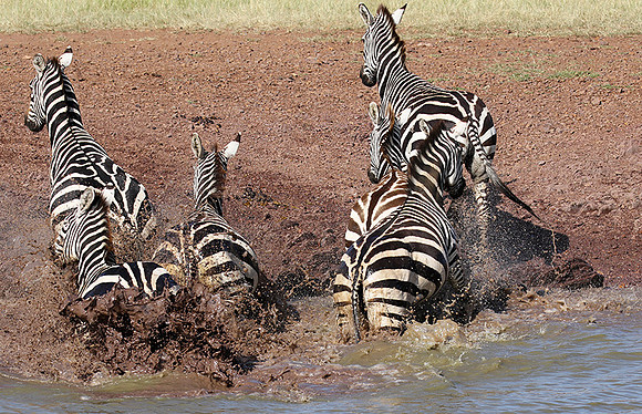Serengeti - Grumeti Private Reserve