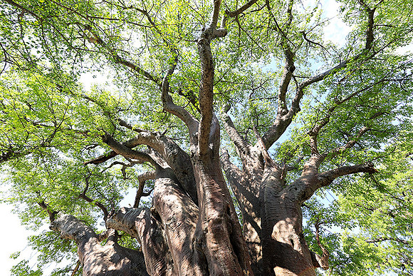 Botswana