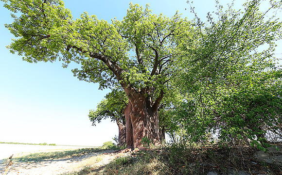 Botswana
