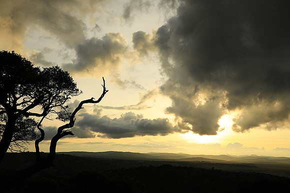 Sunset - Borana