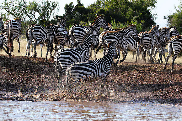Serengeti - Grumeti Private Reserve