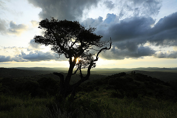 Sunset - Borana