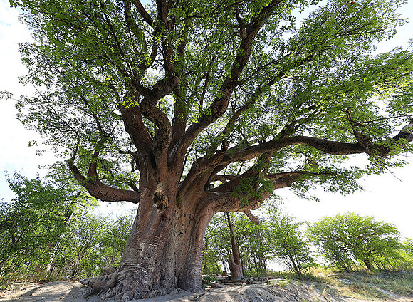 Botswana