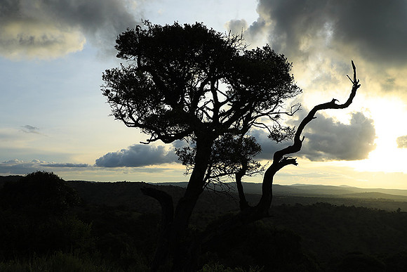 Sunset - Borana