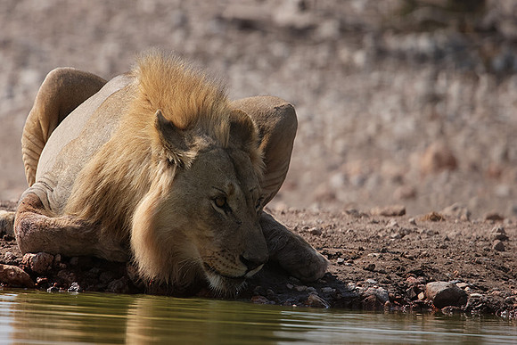Ongava Private Reserve