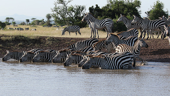 Serengeti - Grumeti Private Reserve