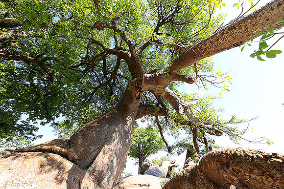 Botswana