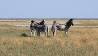 Nxai Pan
