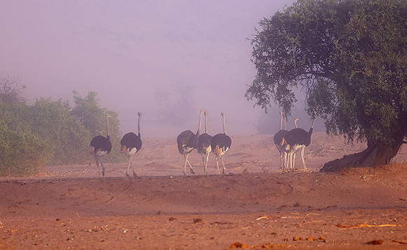 Damaraland