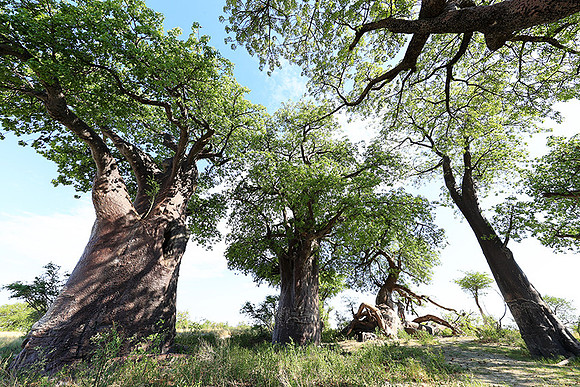 Botswana