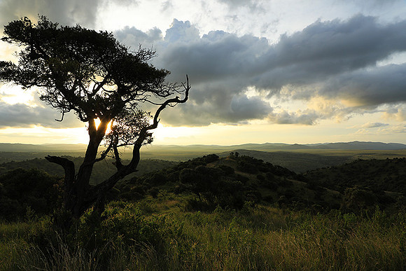 Sunset - Borana