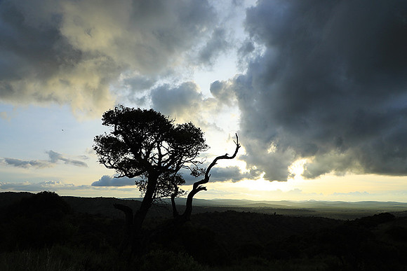 Sunset - Borana