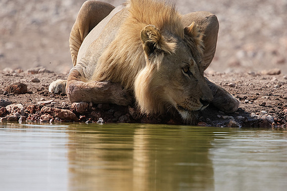 Ongava Private Reserve