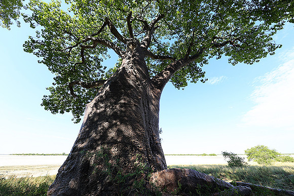Botswana