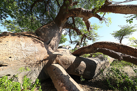 Botswana
