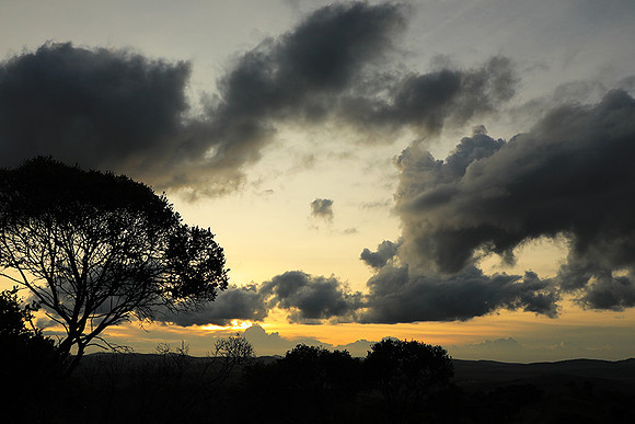 Sunset - Borana