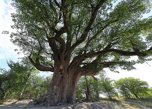 Botswana