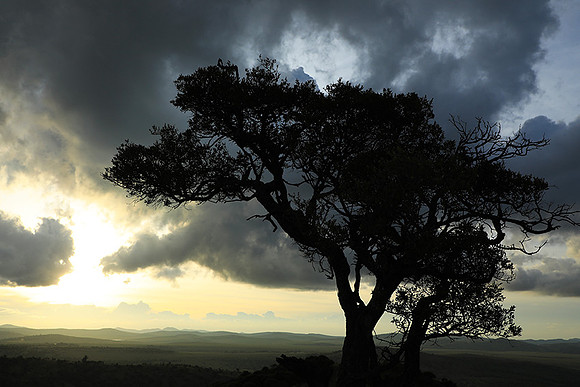 Sunset - Borana