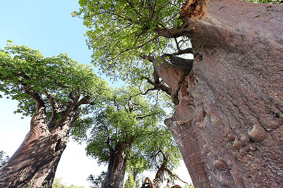 Botswana