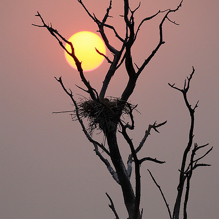Sunrise - Matusadona NP
