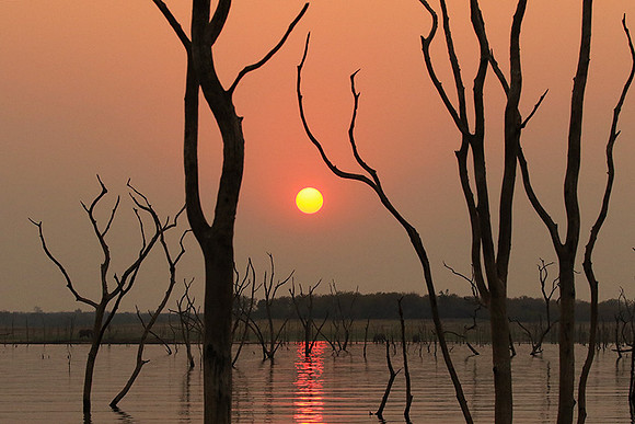 Sunset - Lake Kariba - Matusadona NP
