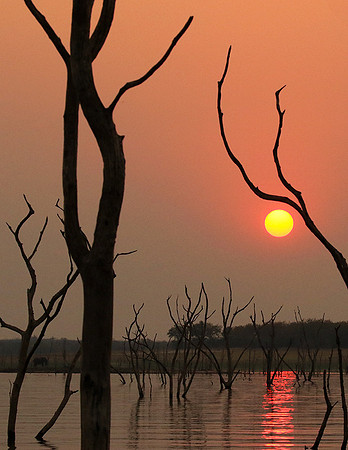 Sunset - Lake Kariba - Matusadona NP