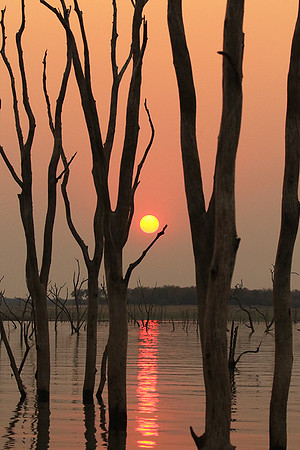 Sunset - Lake Kariba - Matusadona NP